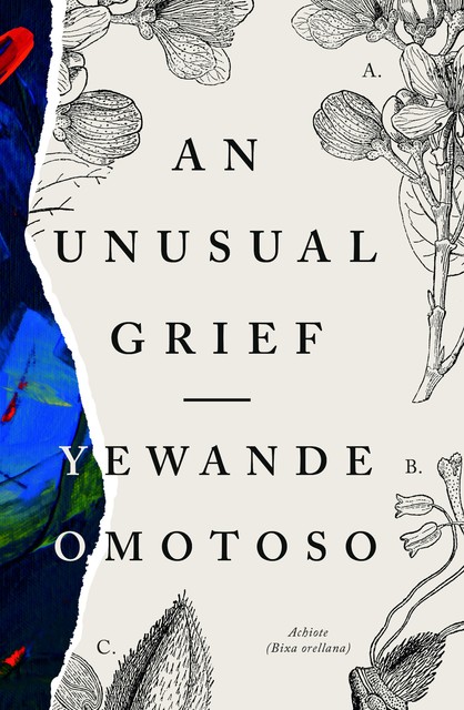 An Unusual Grief, Yewande Omotoso
