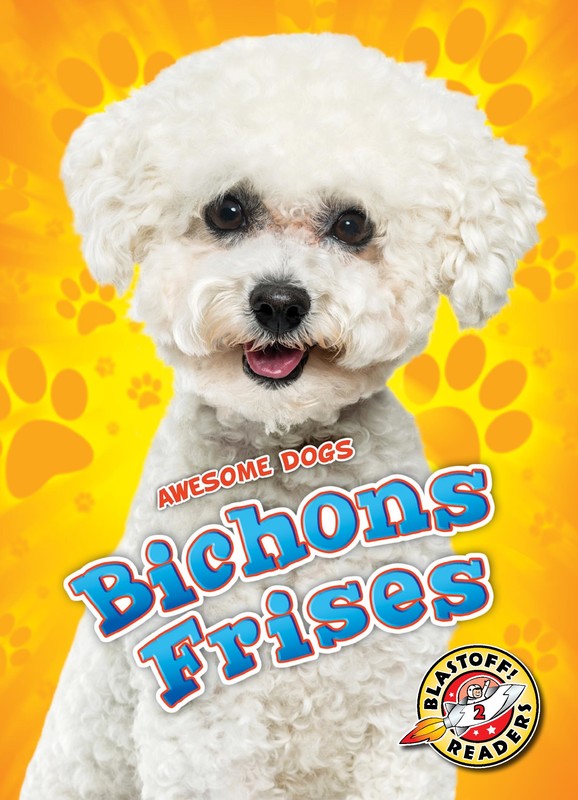 Bichons Frises, Lindsay Shaffer
